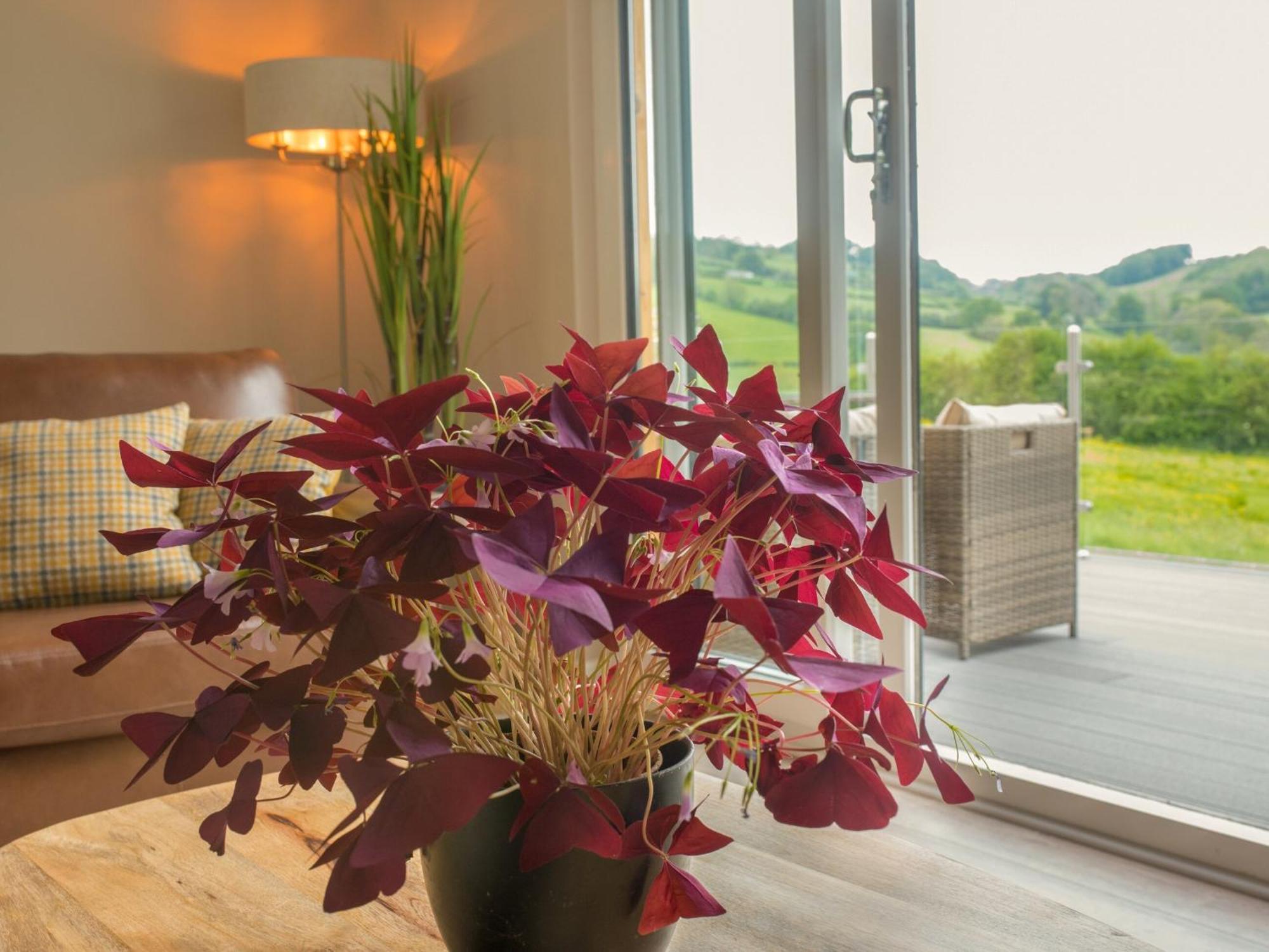 Barn Owl Lodge-Qu7487 Highgate  외부 사진